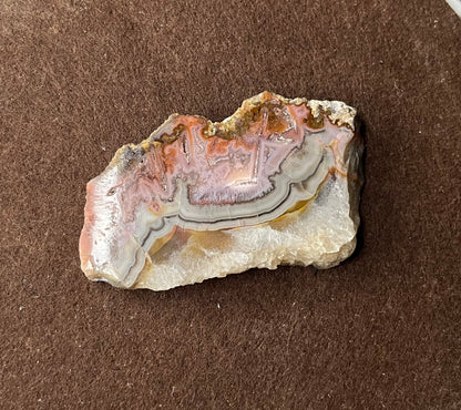 RARE - Tranche d’agate multicolore