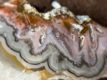 RARE - Tranche d’agate multicolore