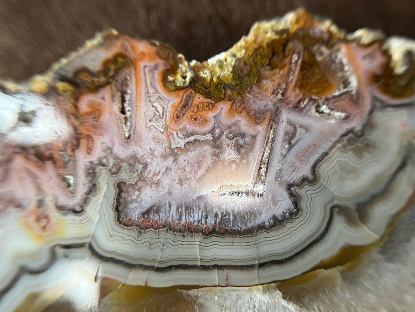 RARE - Tranche d’agate multicolore